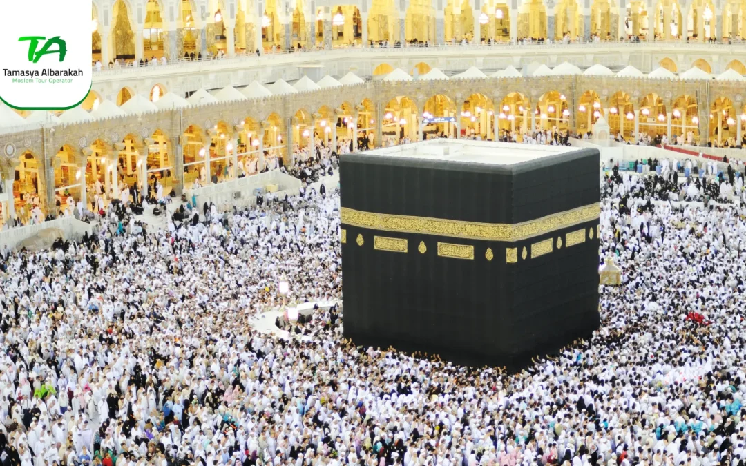 perbedaaan land arrangement biasa dan premium